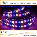 High Density WS2812B Digital RGB LED Flexible Strip Light, 144 LED/M, DC5V, Sold by Meter